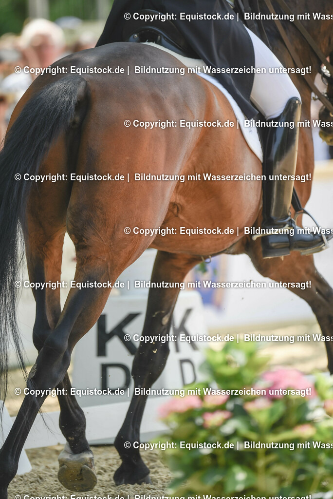 TP5_1315 | equistock