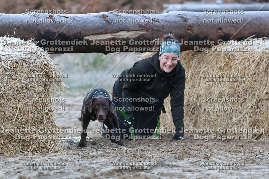 Dog Paparazzi - Strongdog 10-25-101 | Dog Paparazzi Jeanette Grottendiek Fotografie & Videografie - Realisiert mit Pictrs.com