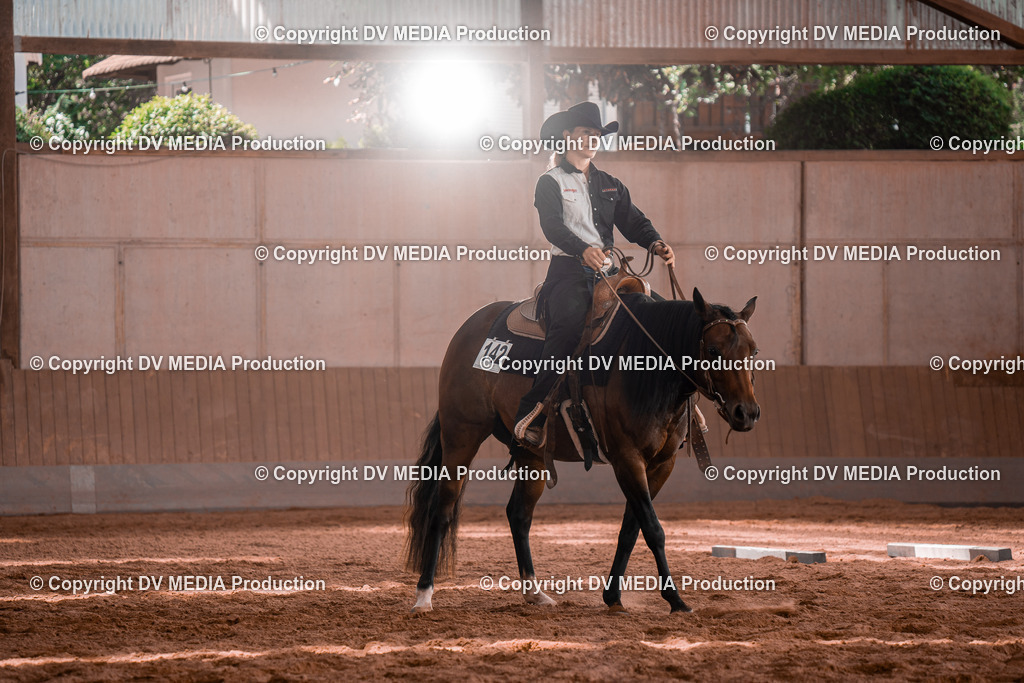 NE100532 | dv-media-shop - Realisiert mit Pictrs.com