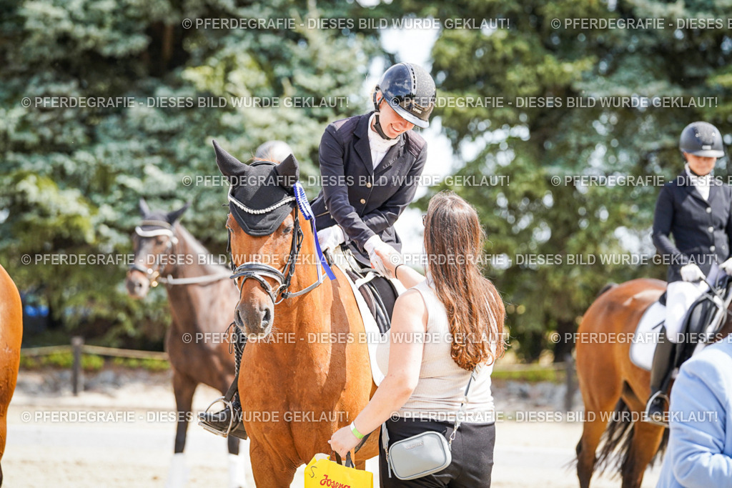 DSC02247 | Pferdegrafie