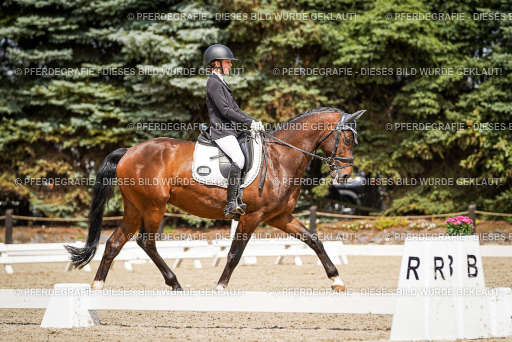 DSC02959 | Pferdegrafie