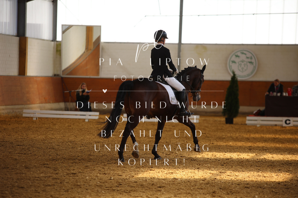 IMGT4436 | pl-fotografie