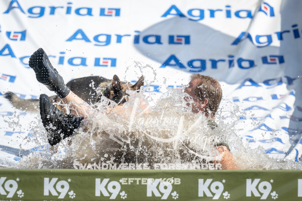 1141_ZZ93379 | kk-dogfotos