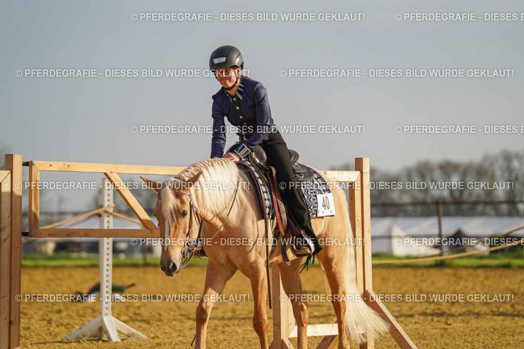 DSC00015 | Pferdegrafie