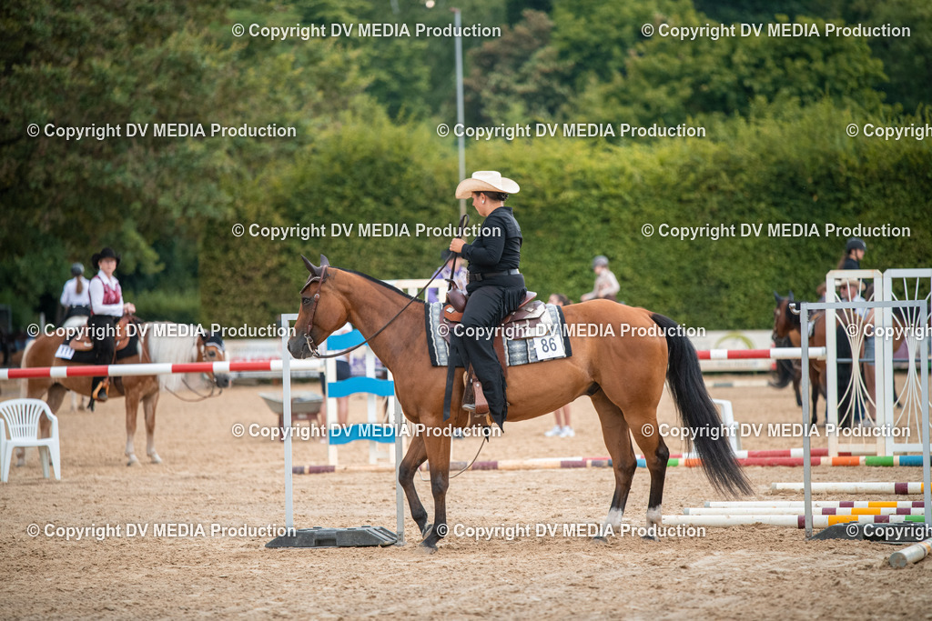 ZS2_7489 | dv-media-shop - Realisiert mit Pictrs.com