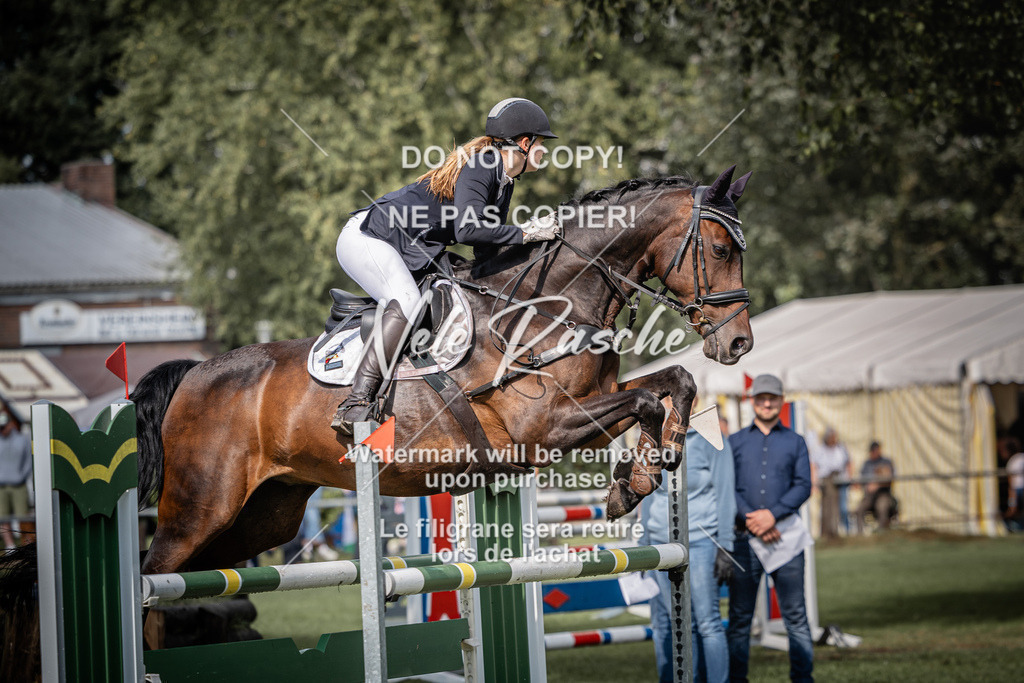 nelerasche_SprL110Ede_61 | nelerasche