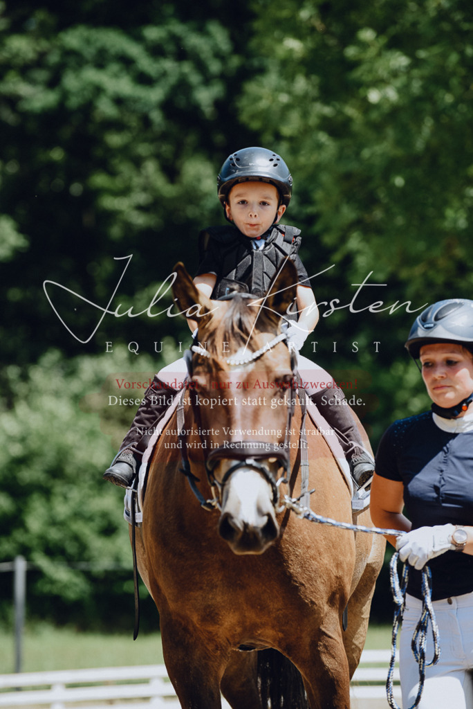 DSC_2568 | Pferde- und Turnierfotografie in Westsachsen. Pferdeportraits, Auftragszeichnungen und intuitive Kunst.