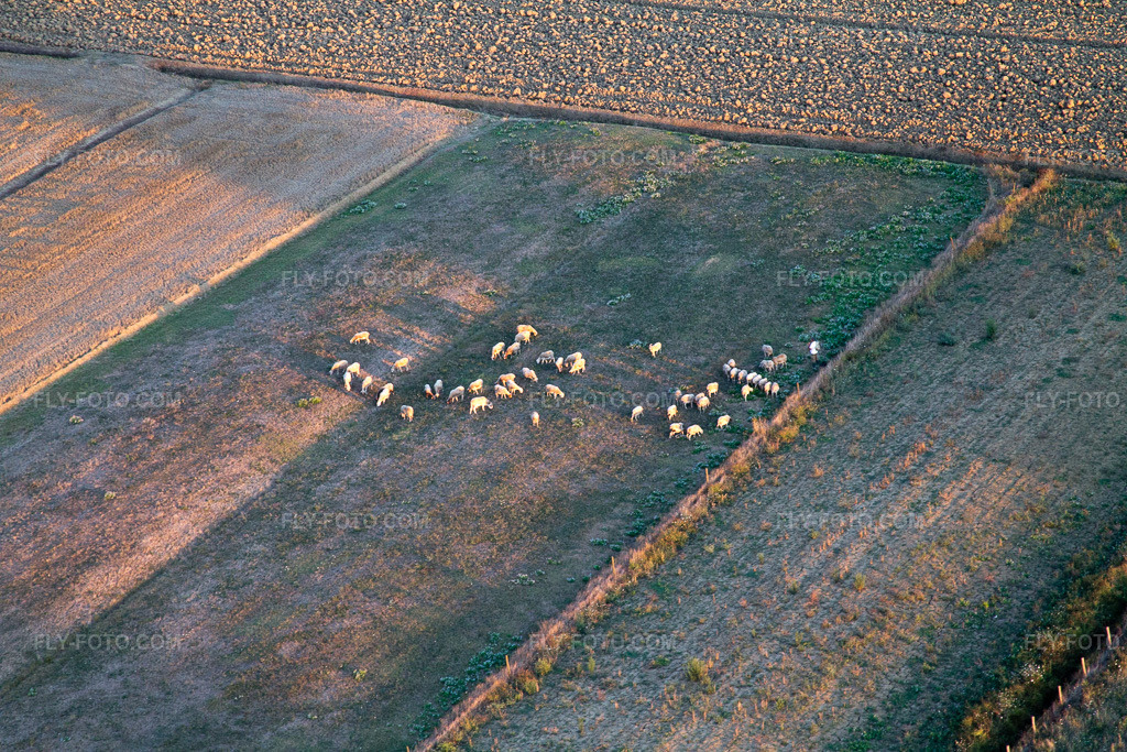 Aerial view: View of the town in Castroncello in the state Tuscany, Italy. – Photo: IMG_43873.jpg taken on 07/29/2011 by Werner Riehm/FLY-FOTO.com – Resolution of the original: 4272 x 2848 px