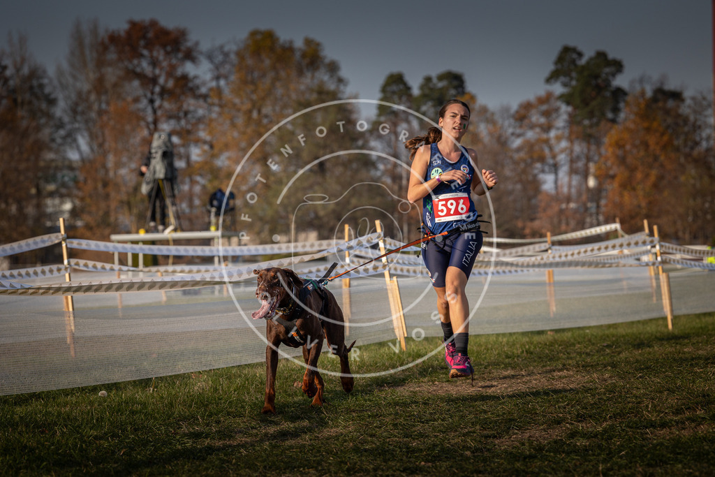 CaniXpix_0L8A0054 | Hundefotografie, Tierfotograf, Pfotenfotografie, Fotoshooting Hund, Hunde Portrait, Hundesport, Hundeportraits, Heideshooting, Hunde, Sportfotograf, Hundefotograf, Turnierhundsport, THS,  - Realisiert mit Pictrs.com