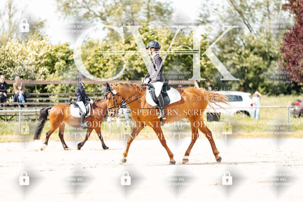 CK901651 | Turnierfotografie Pferdefotografie Trier Rheinland-Pfalz Pferdesport Reitsport Tierfotografie Sportfotografie Pferdevideo Pferdevideografie Equestrianvideography equestrianphotography  - Realisiert mit Pictrs.com