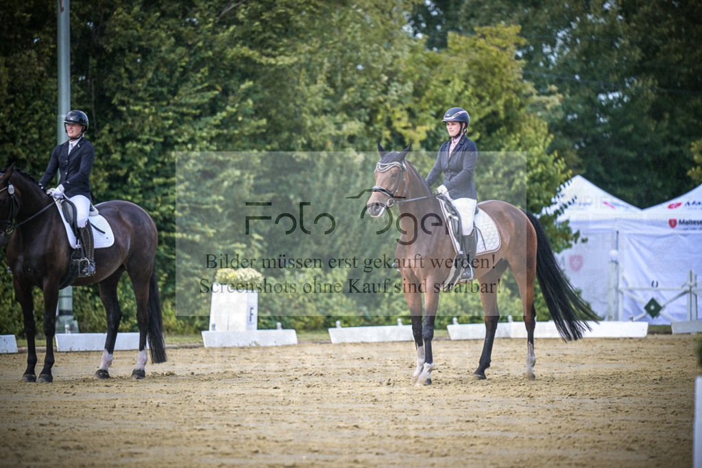 DOS_5291 | Entdecke hochwertige Reitturnierfotos von Foto Oger. Professionell, emotional und authentisch – jetzt Lieblingsmomente im Shop bestellen.Deutschlandweite Turnierfotografie. - Realisiert mit Pictrs.com