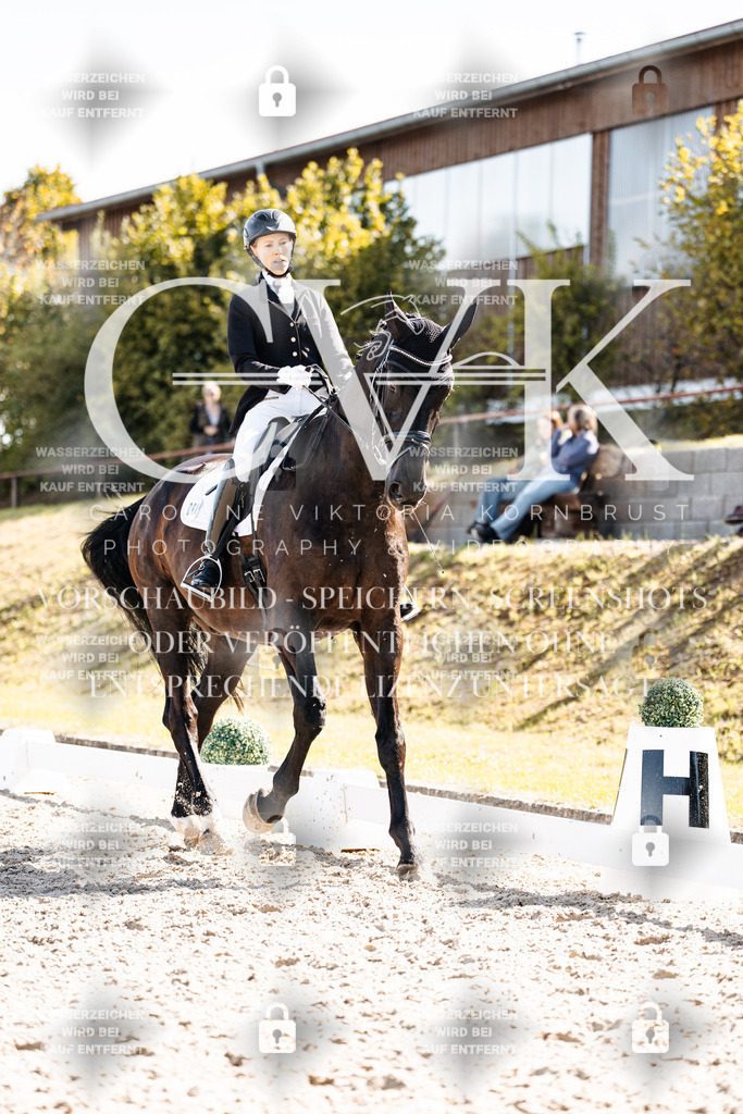 CK902561 | Turnierfotografie Pferdefotografie Trier Rheinland-Pfalz Pferdesport Reitsport Tierfotografie Sportfotografie Pferdevideo Pferdevideografie Equestrianvideography equestrianphotography  - Realisiert mit Pictrs.com