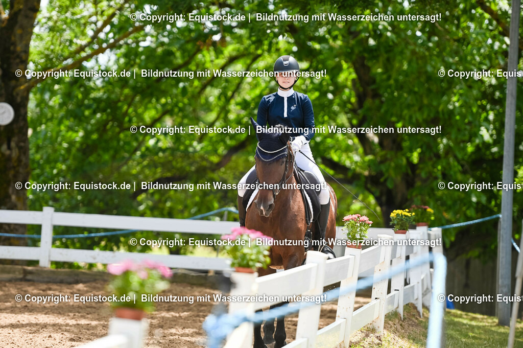 20230716_03_Dressurprfg. Kl.L - Tr._0272 | equistock