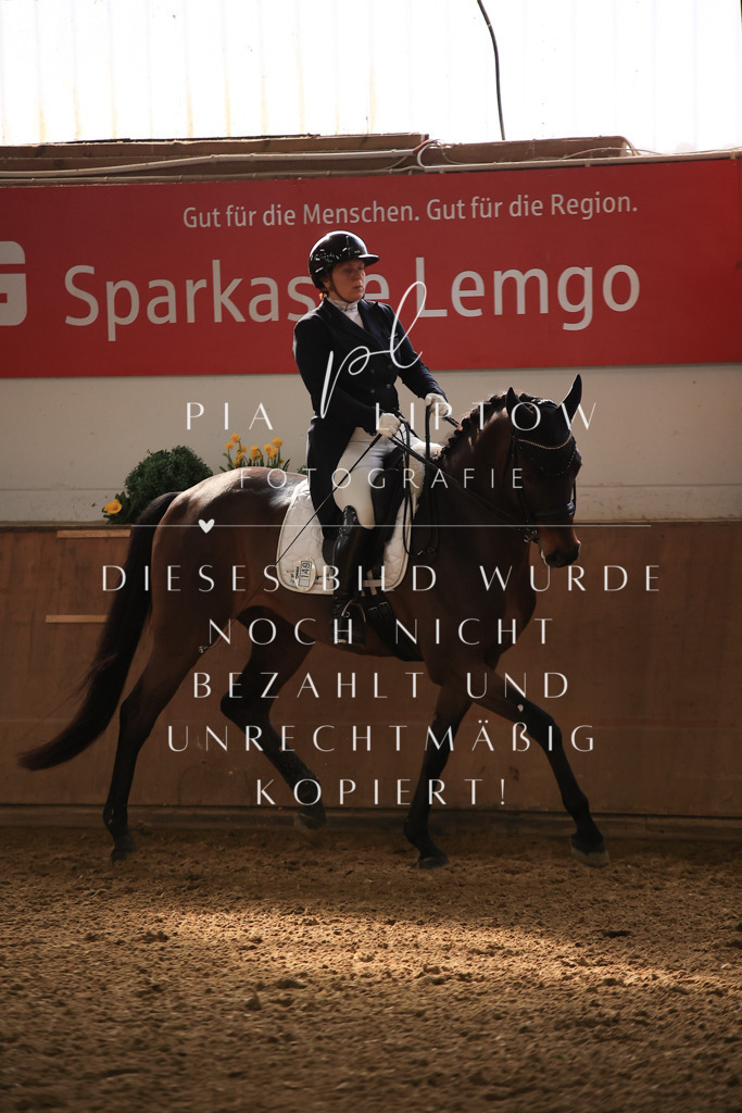 IMGT4958 | pl-fotografie