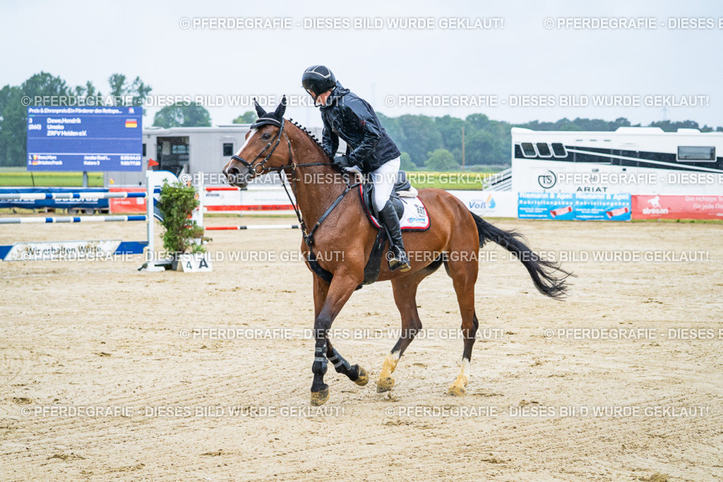 DSC09836 | Pferdegrafie