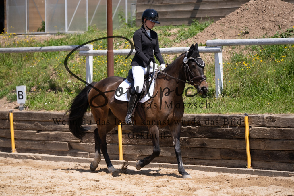 A7V08155 | Pferdefotograf