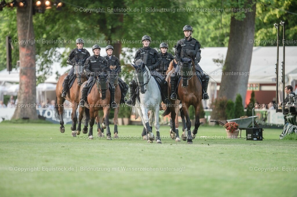 20230526_Pferdenacht_0387 | equistock