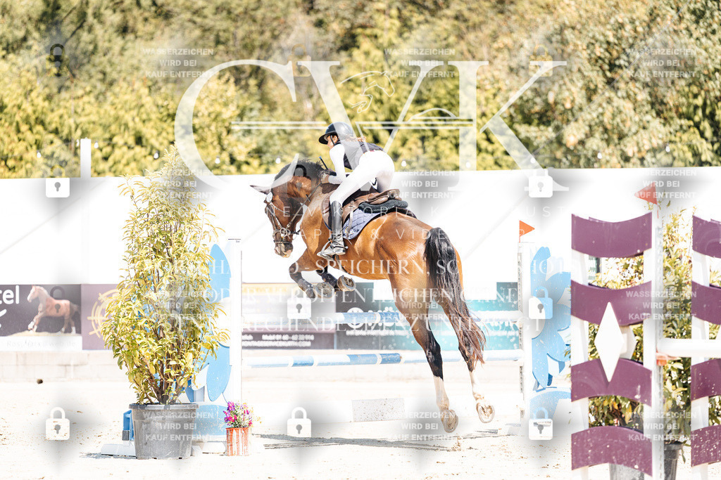 CK900344 | Turnierfotografie Pferdefotografie Trier Rheinland-Pfalz Pferdesport Reitsport Tierfotografie Sportfotografie Pferdevideo Pferdevideografie Equestrianvideography equestrianphotography  - Realisiert mit Pictrs.com