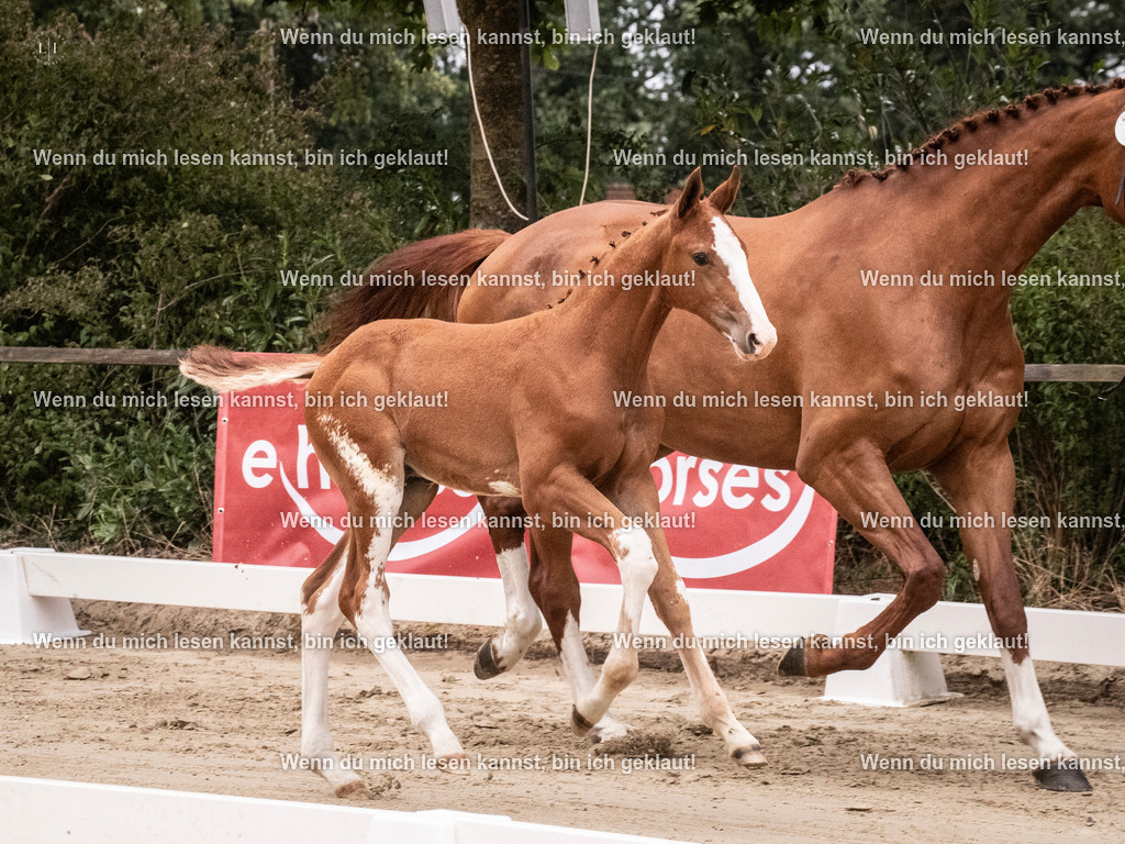 A10I9752 | photographylinaismer - Realisiert mit Pictrs.com