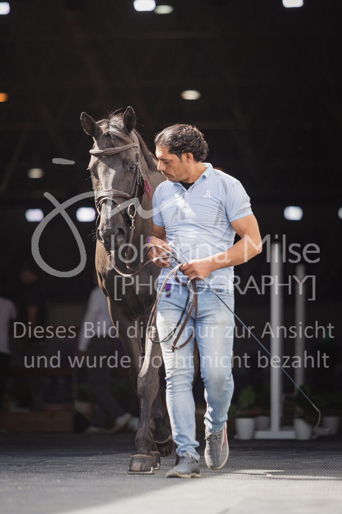 230215_Riyadh_Vet-Check-137 | Deine schönsten Turniermomente als professionelle Fotos! Entdecke hochwertige Pferdesport-Fotografie im Online-Shop. Jetzt Fotos finden & bestellen!