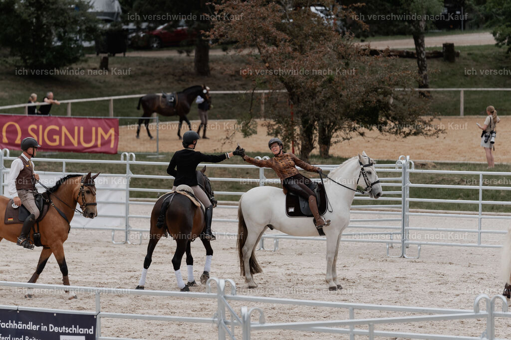 WE__Stoib_Rinder_PI2025_3087 | Pferd International München 2025