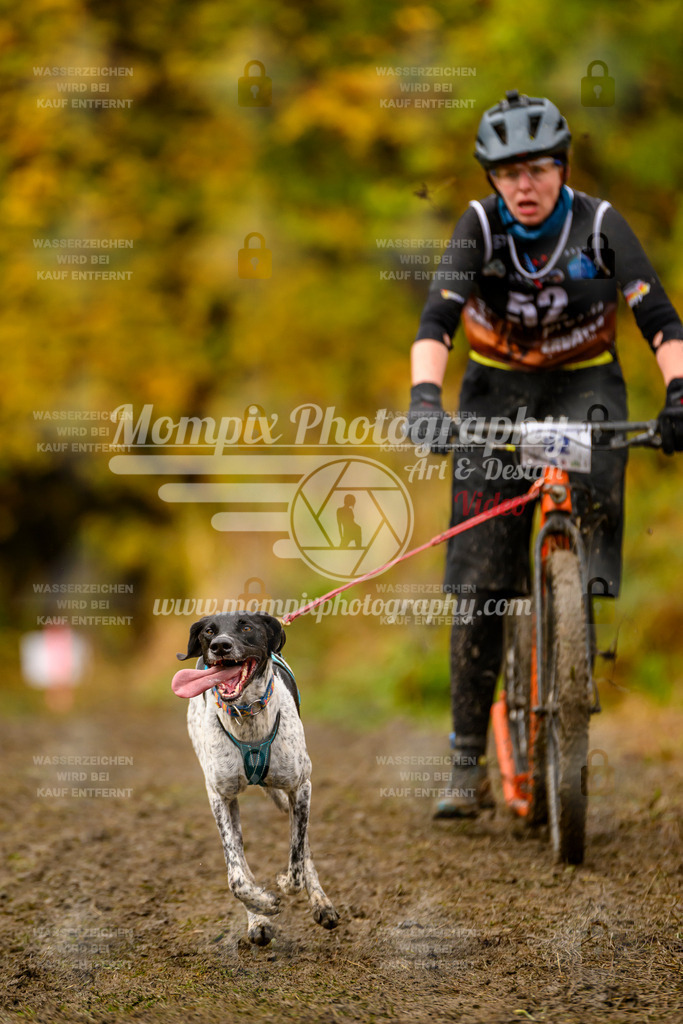 MompixPhotography_ICF_WC_2024_SA_DS_-123 | PayLife