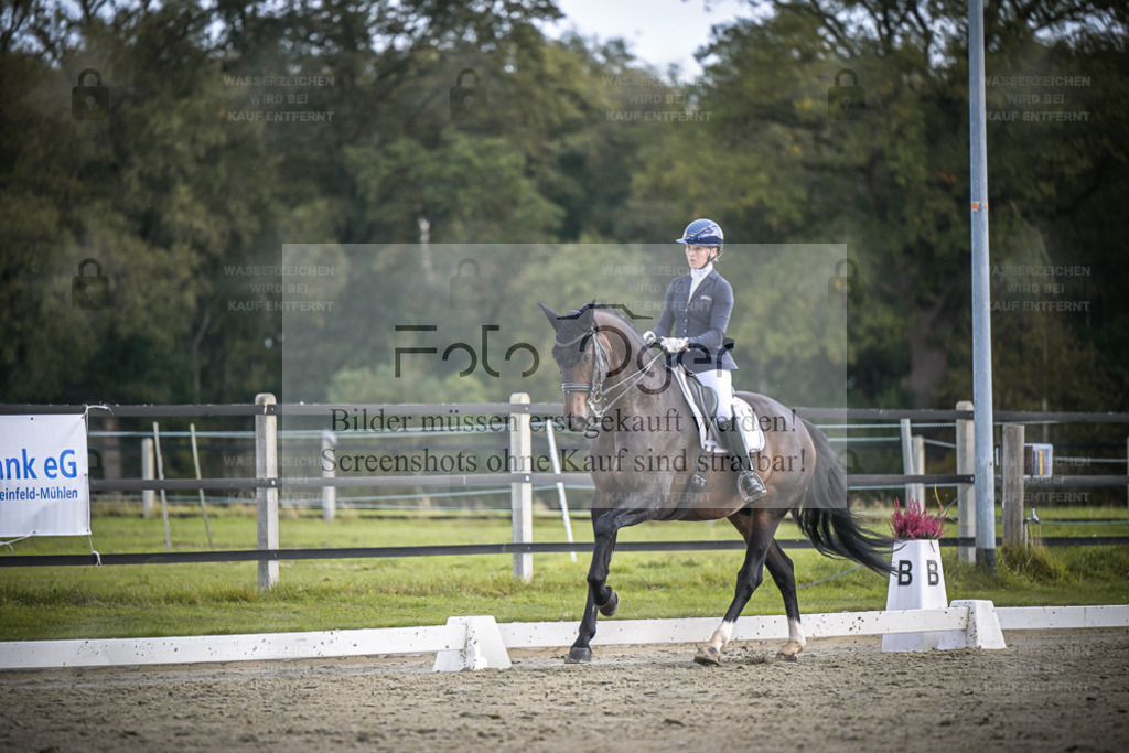 DOS_0130 | Entdecke hochwertige Reitturnierfotos von Foto Oger. Professionell, emotional und authentisch – jetzt Lieblingsmomente im Shop bestellen. - Realisiert mit Pictrs.com