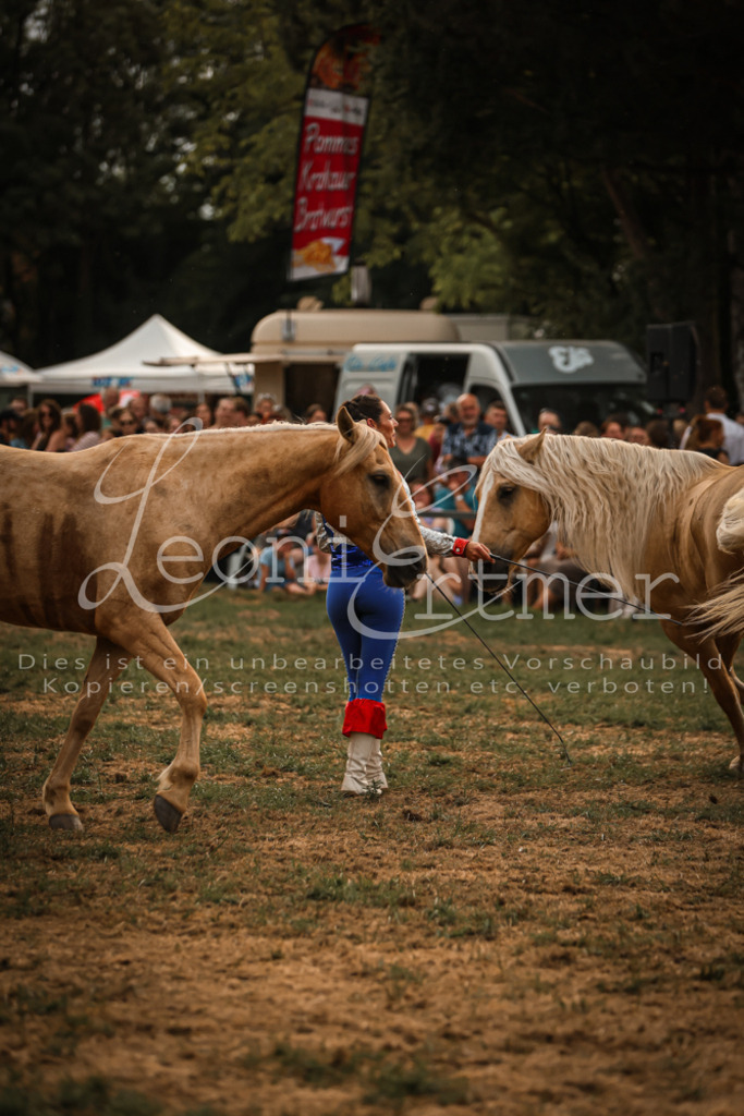 SoProg00056 | Leoni Ertmer Photography - Realisiert mit Pictrs.com