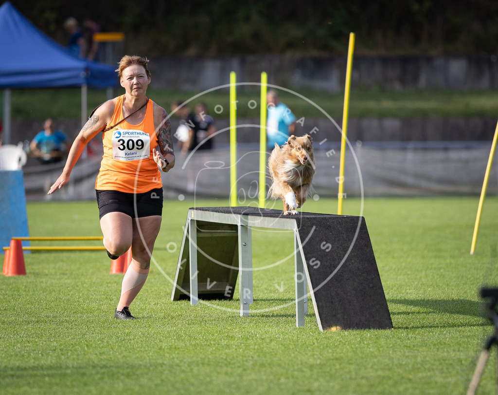 Pfotenfotografie_DV3A2745 | Hundefotografie, Tierfotograf, Pfotenfotografie, Fotoshooting Hund, Hunde Portrait, Hundesport, Hundeportraits, Heideshooting, Hunde, Sportfotograf, Hundefotograf, Turnierhundsport, THS,  - Realisiert mit Pictrs.com