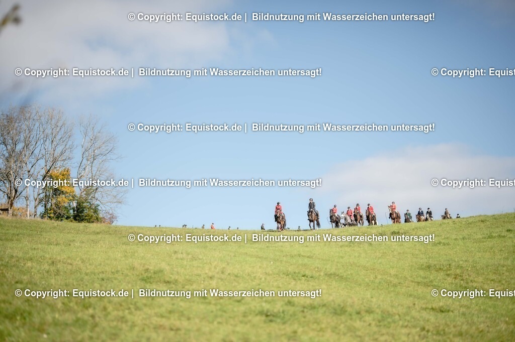 20251011_Jagd-Marbach_0541 | Foto: Thomas Hartig