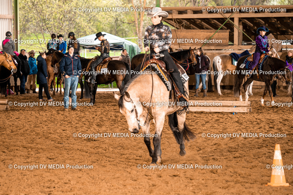 BAL00327 | dv-media-shop - Realisiert mit Pictrs.com