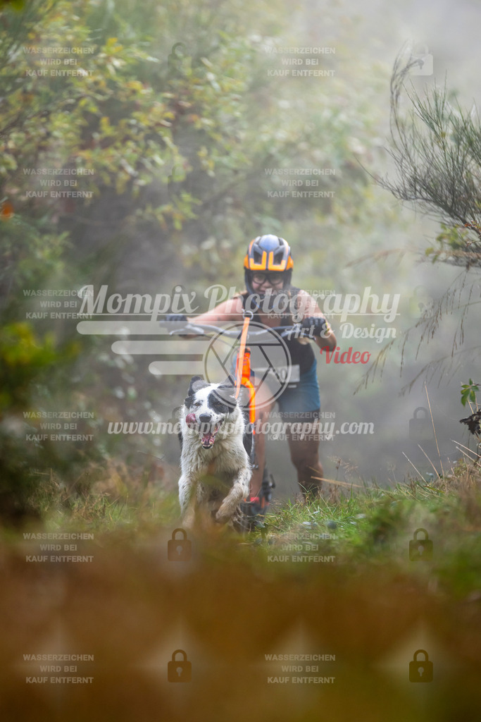 MompixPhotography_20TSB_E4_DS1-54 | PayLife