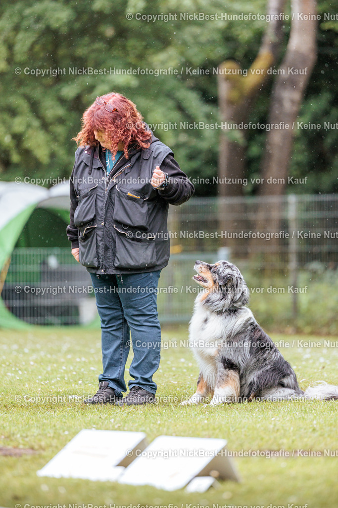 RO-Blumenthal-2026-Nickbest-Hundefotografie-3571 | Dein Hund! Dein Moment! Deine Erinnerungen! Hundefotografie in Bremen Blumenthal. Ich fange die besonderen Momente deines Vierbeiners ein – ob Indoor mit Blitzanlage oder in der freien Natur. Sicher dir dein Moment und dein Termin für eure Erinnerungen.