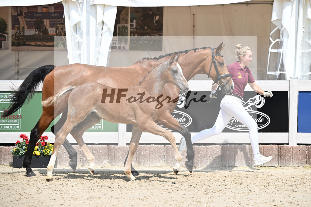 Arezzo Man x Clearway_HF_Maier u Mayerfoels_12250685 | hf-fotografie - Realisiert mit Pictrs.com