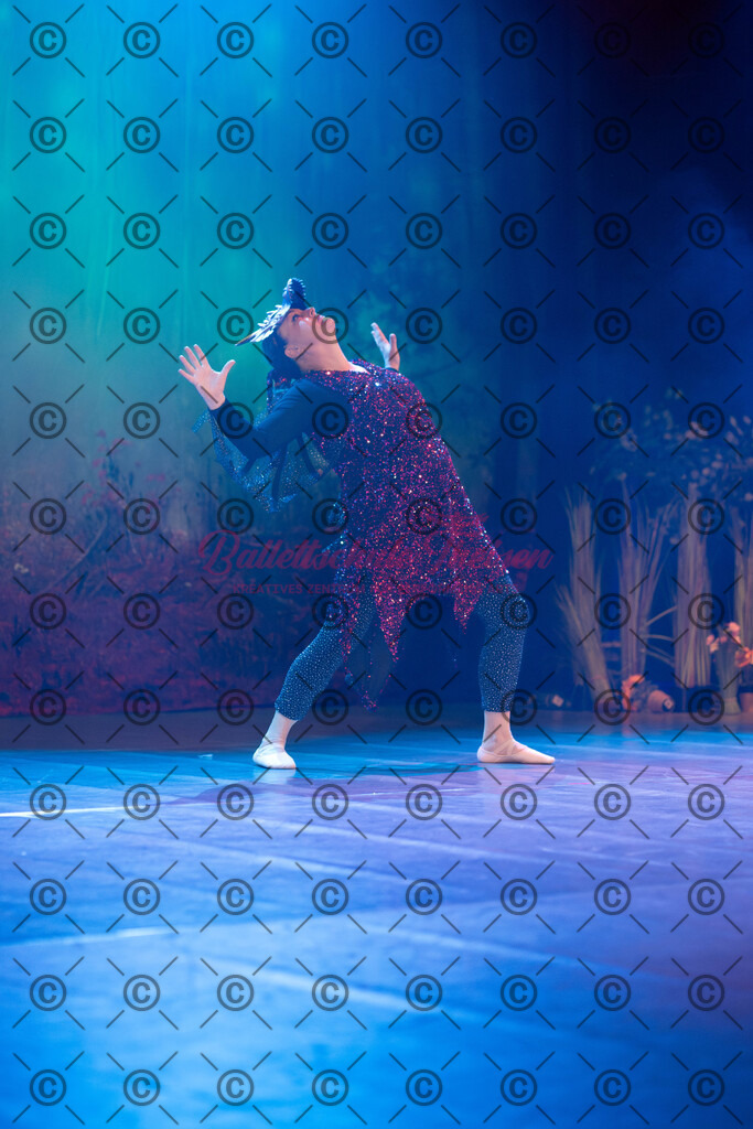 Ballettaufführung-1428 | Bildershop Lem'n Entertainment - Realisiert mit Pictrs.com