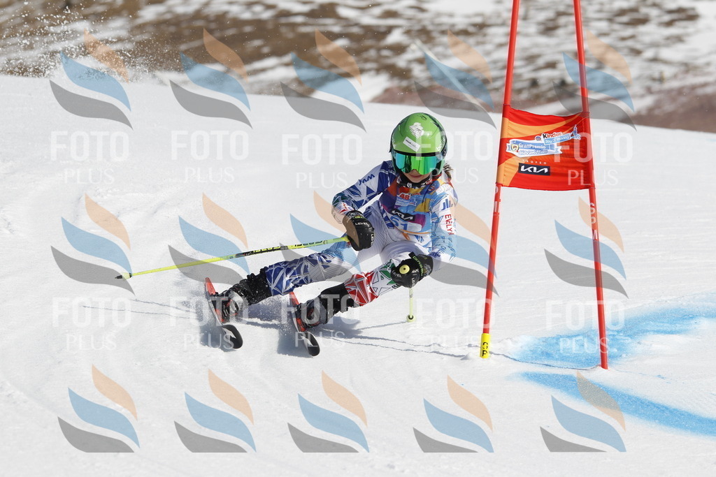 _U3G9425 | holidayphoto