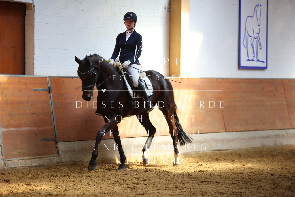 IMGT7828 | pl-fotografie