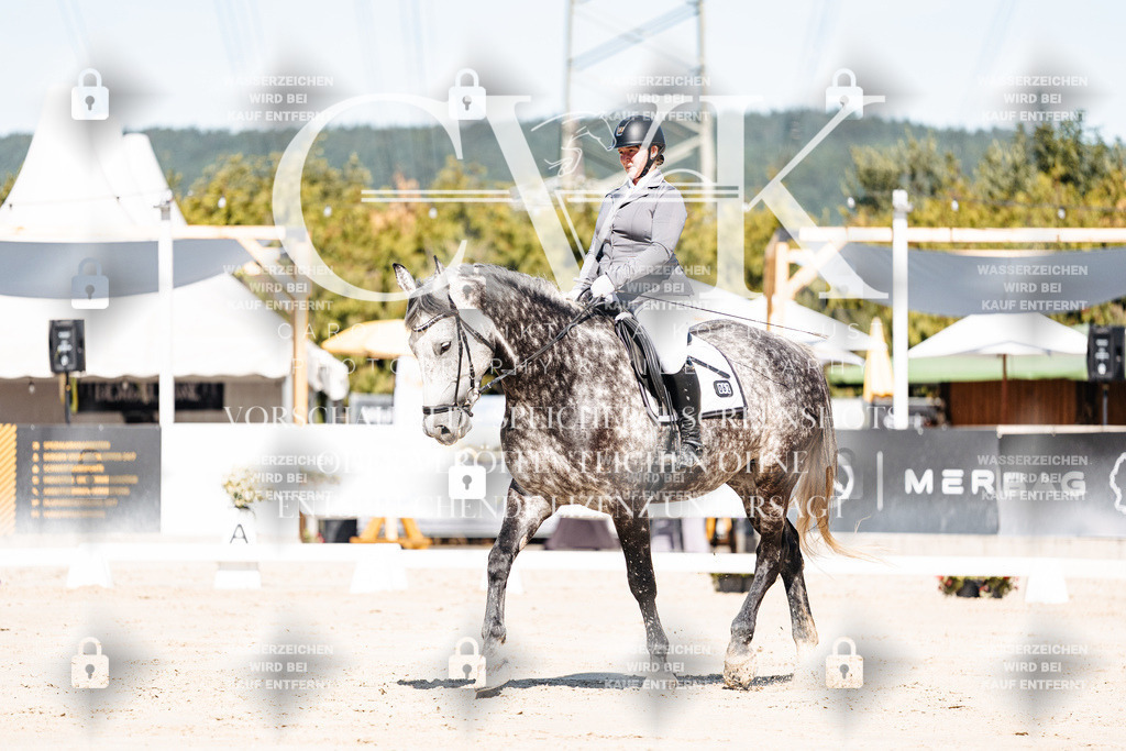 CK908982 | Turnierfotografie Pferdefotografie Trier Rheinland-Pfalz Pferdesport Reitsport Tierfotografie Sportfotografie Pferdevideo Pferdevideografie Equestrianvideography equestrianphotography  - Realisiert mit Pictrs.com