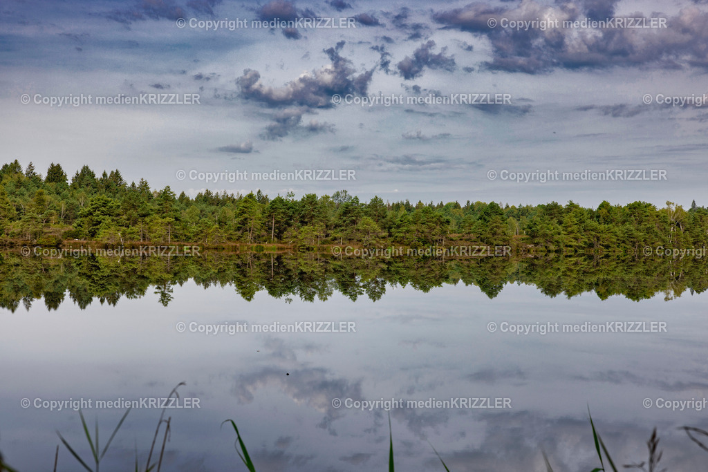 _J3A2261 | medienkrizzler - Realisiert mit Pictrs.com