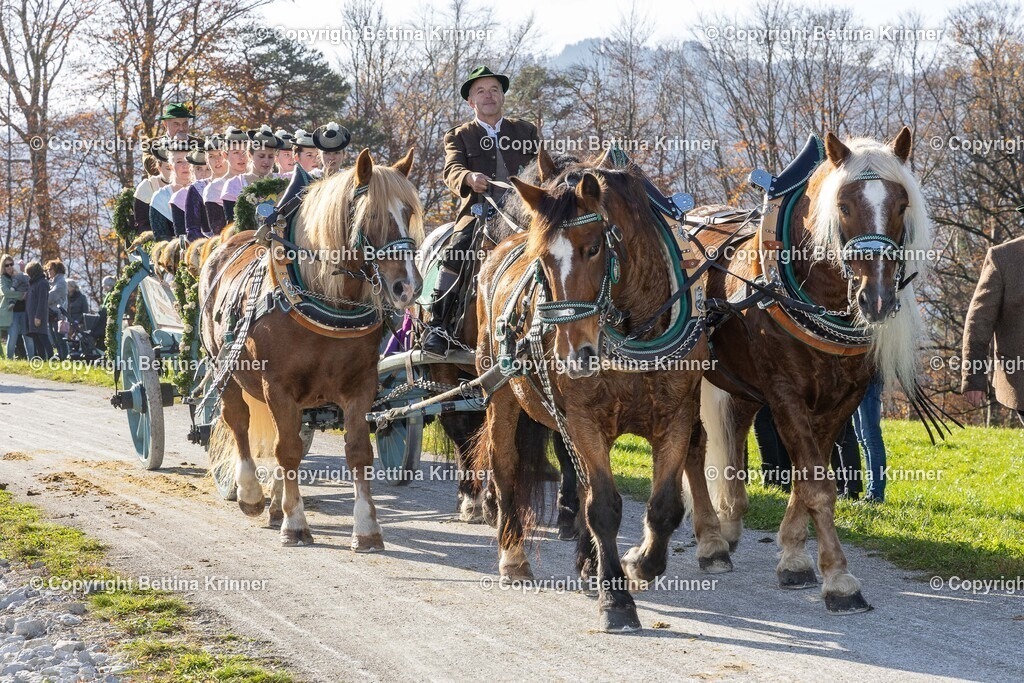 LBT24-1511 | foto-bettina-krinner - Realisiert mit Pictrs.com