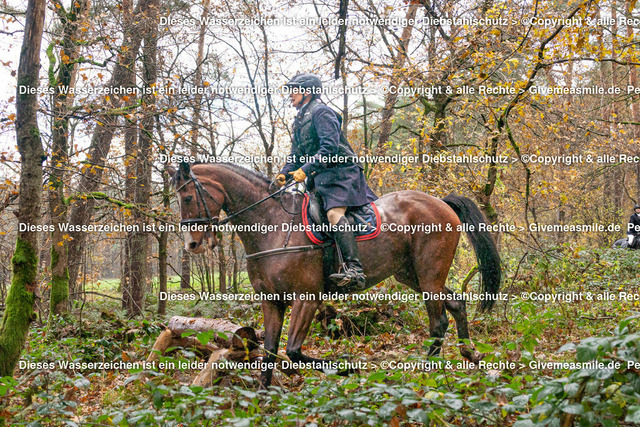 DAJ05914 | Eventfotografie, Hochzeitsreportagen, Getting ready, Engagement, Hochzeitsfotograf, Paarfotografie, Porträts Mensch und Tier, Schleppjagden, Jagdfotos, Musicals, Konzerte, Back stage + Front of stage Reports, Tourbegleitung