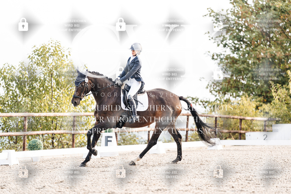 CK900456 | Turnierfotografie Pferdefotografie Trier Rheinland-Pfalz Pferdesport Reitsport Tierfotografie Sportfotografie Pferdevideo Pferdevideografie Equestrianvideography equestrianphotography  - Realisiert mit Pictrs.com