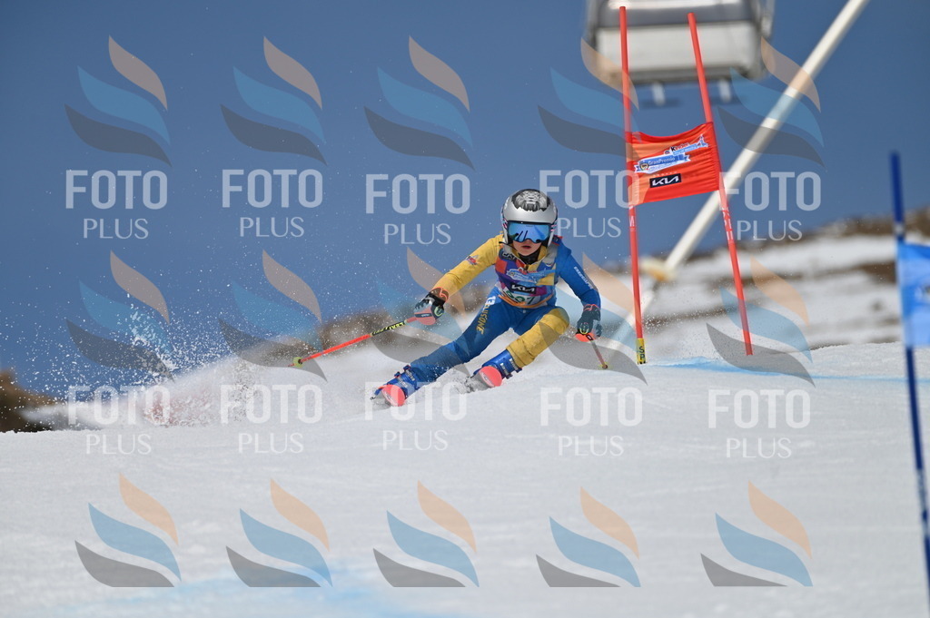 BGV_6663 | holidayphoto