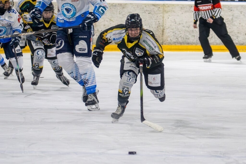 07.12.2024: Deutsche Frauen Eishockey Liga, Saison 2024/25: Mad Dogs Mannheim gegen ERC Ingolstadt | 07.12.2024: Deutsche Frauen Eishockey Liga, Saison 2024/25: Mad Dogs Mannheim gegen ERC Ingolstadt - Realisiert mit Pictrs.com