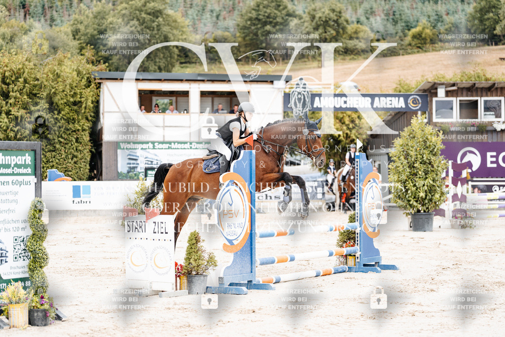 CK907995 | Turnierfotografie Pferdefotografie Trier Rheinland-Pfalz Pferdesport Reitsport Tierfotografie Sportfotografie Pferdevideo Pferdevideografie Equestrianvideography equestrianphotography  - Realisiert mit Pictrs.com