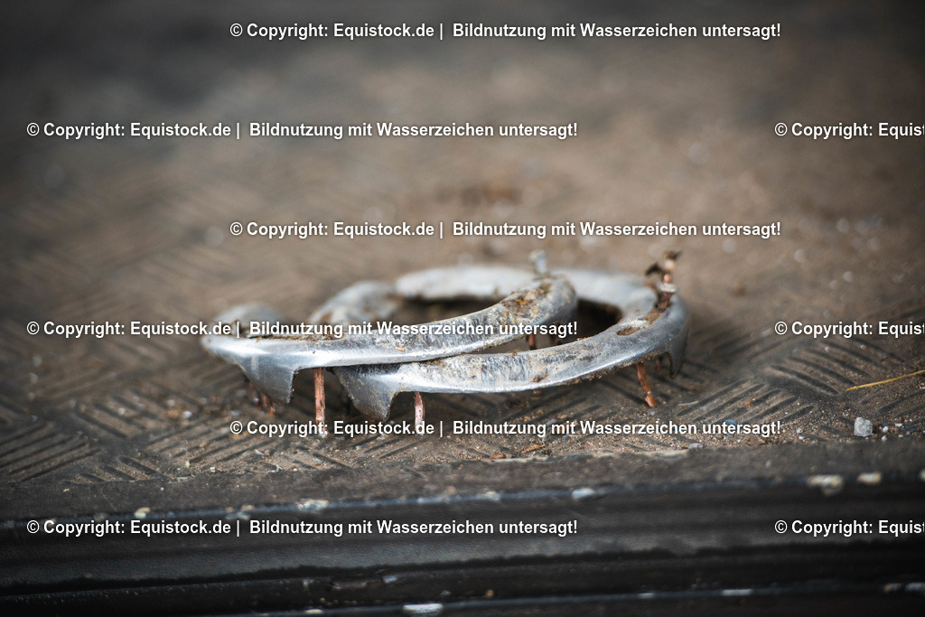 20190711_Hufschmied_0003 | Foto: Thomas Hartig