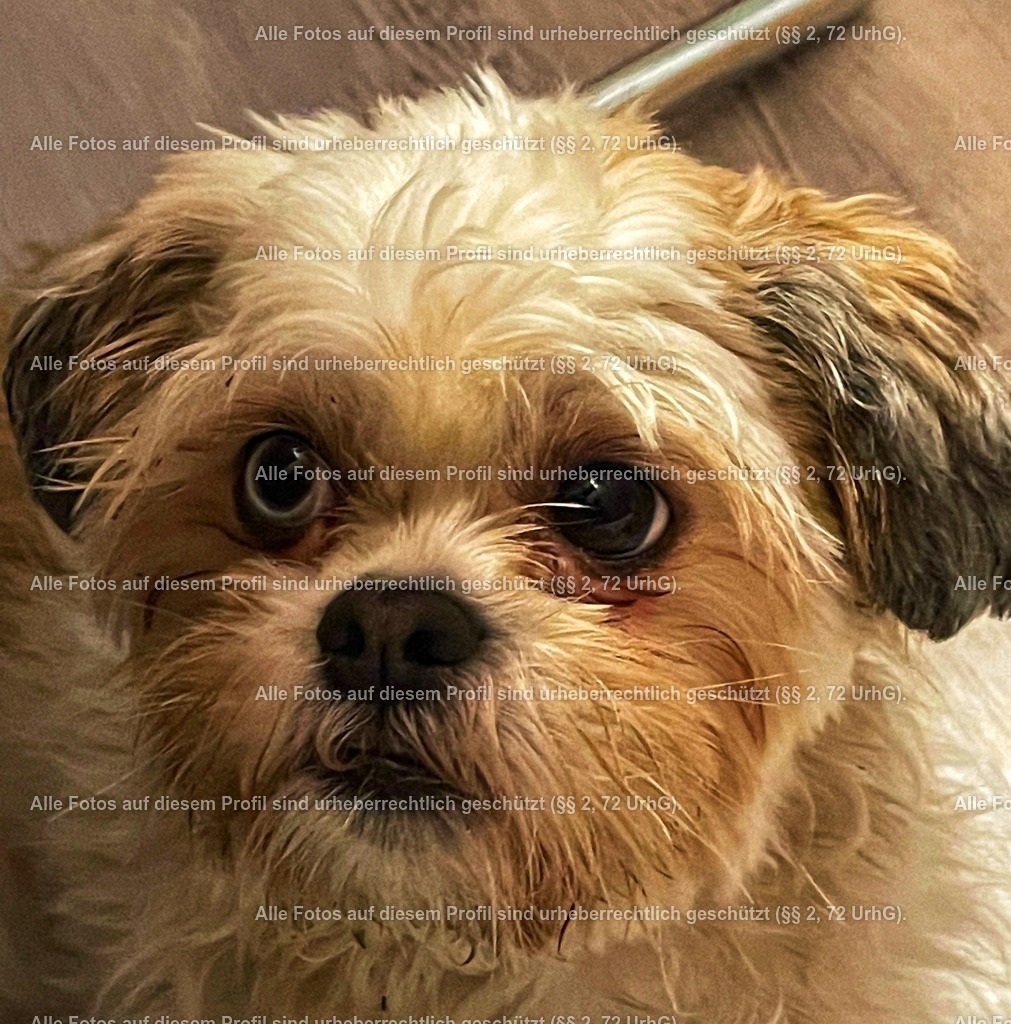 Snapseed(63) | krollfotografie - Realisiert mit Pictrs.com