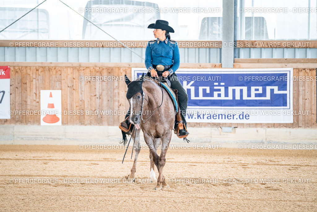 DSC01229 | Pferdegrafie