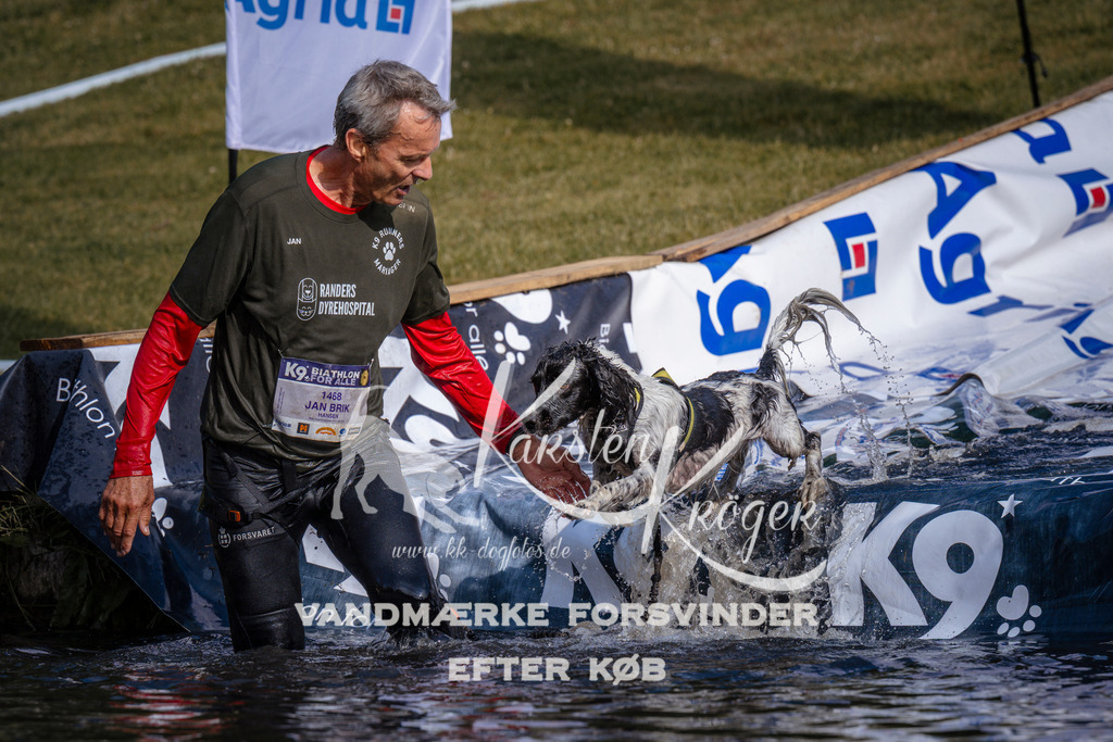 _ZZ976210746 | kk-dogfotos