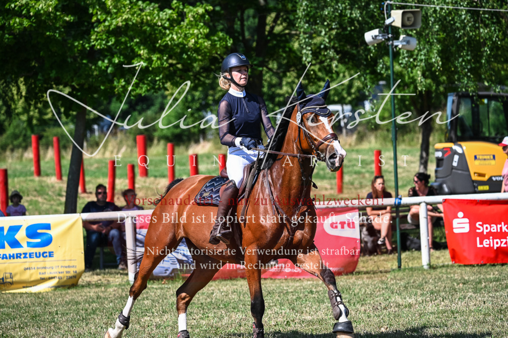 DSC_1607 | Pferde- und Turnierfotografie in Westsachsen. Pferdeportraits, Auftragszeichnungen und intuitive Kunst.